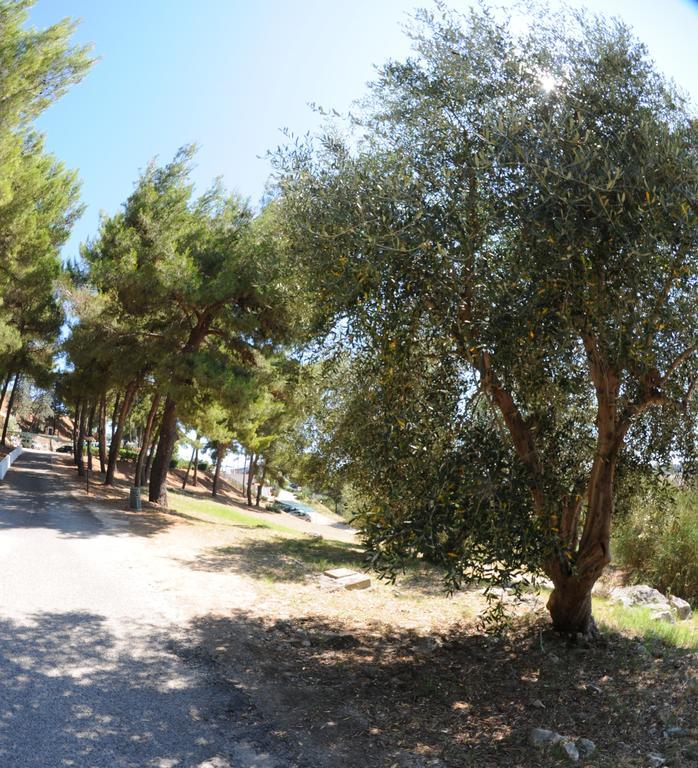 Villaggio Santo Stefano Vieste Dış mekan fotoğraf